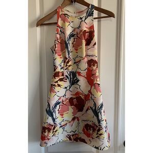 Abercrombie & Fitch Floral Fit and Flare Spring Summer Dress Back Cut Out Sz XS
